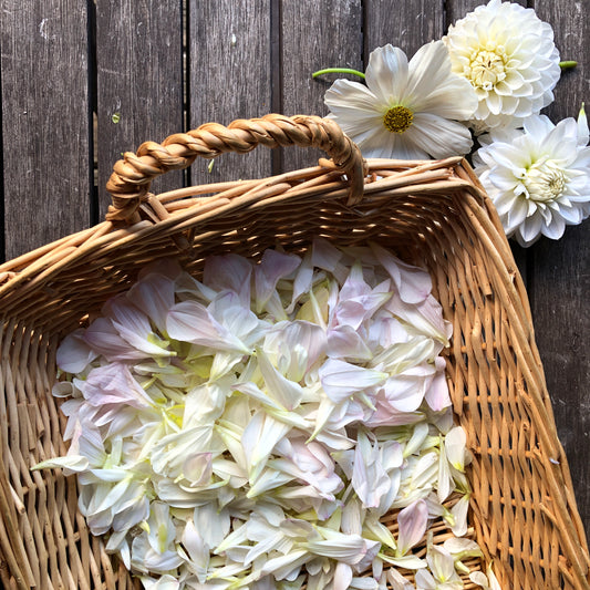 Fresh Flower Petal Confetti