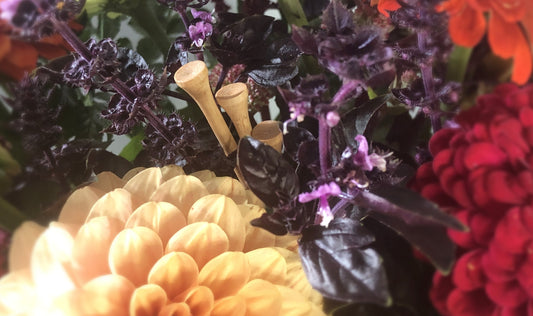 Choosing Flowers for Funerals - A Gentle Guide