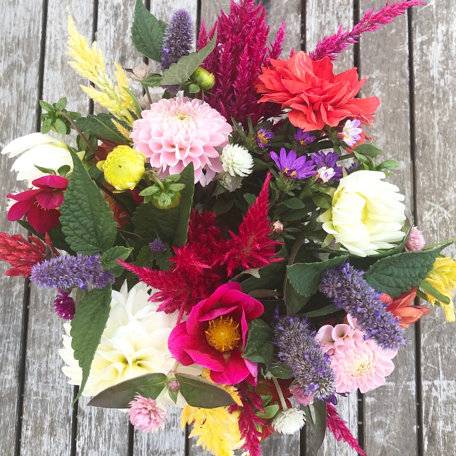 Fresh Flowers
