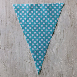 Turquoise Dot Flag